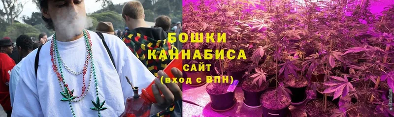 Каннабис сатива  Владивосток 